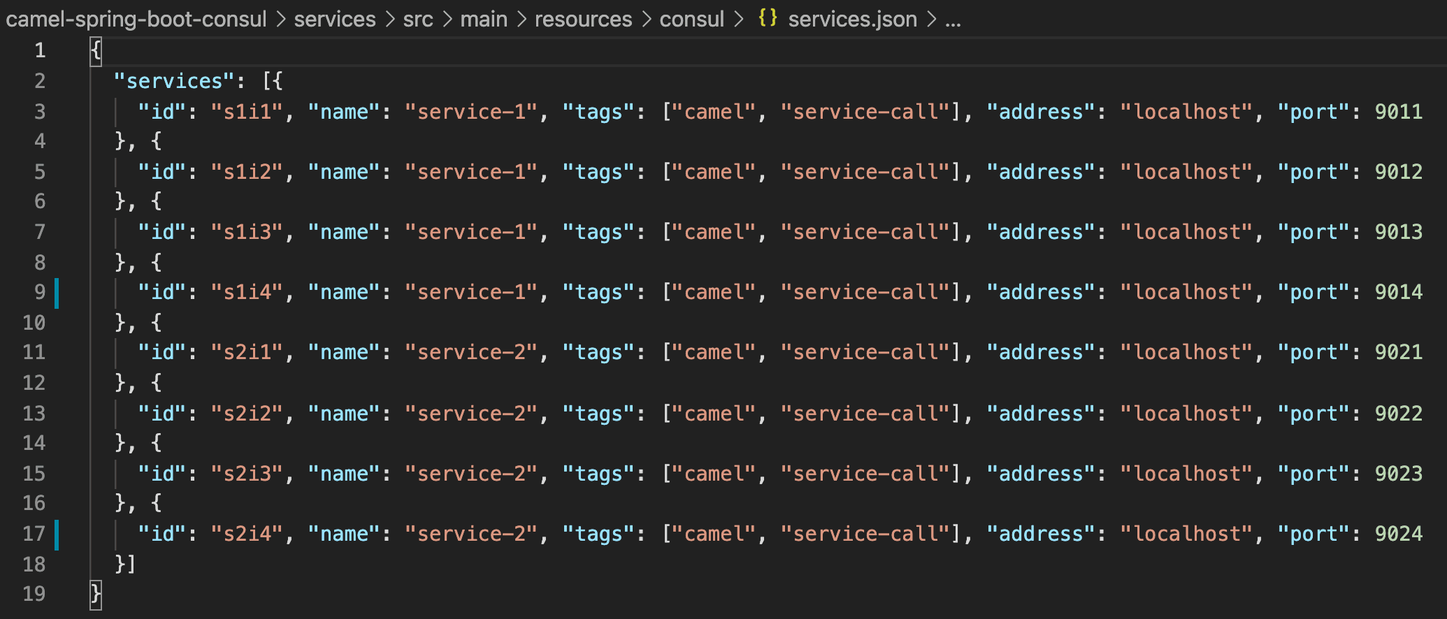 Consul services.json file