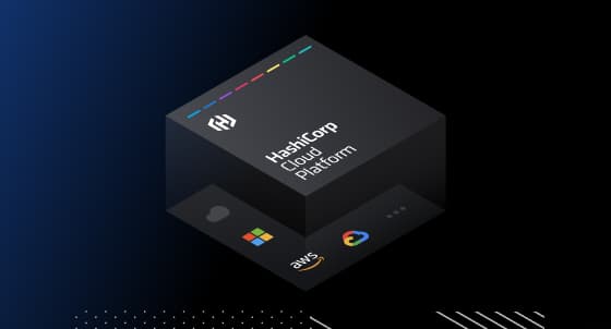 HASHICORP CLOUD PLATFORM visual data 4