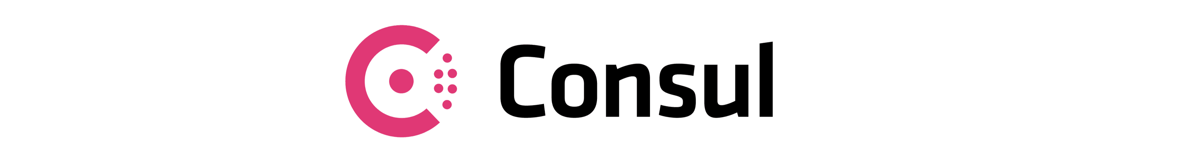 Consul Logo