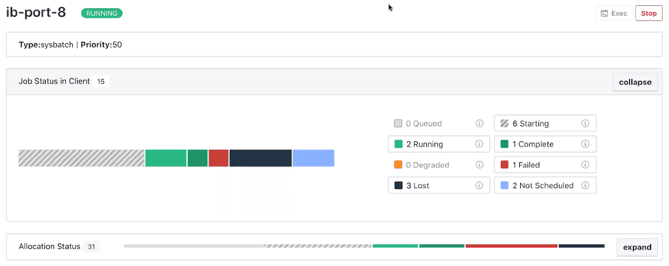 sysbatch job status