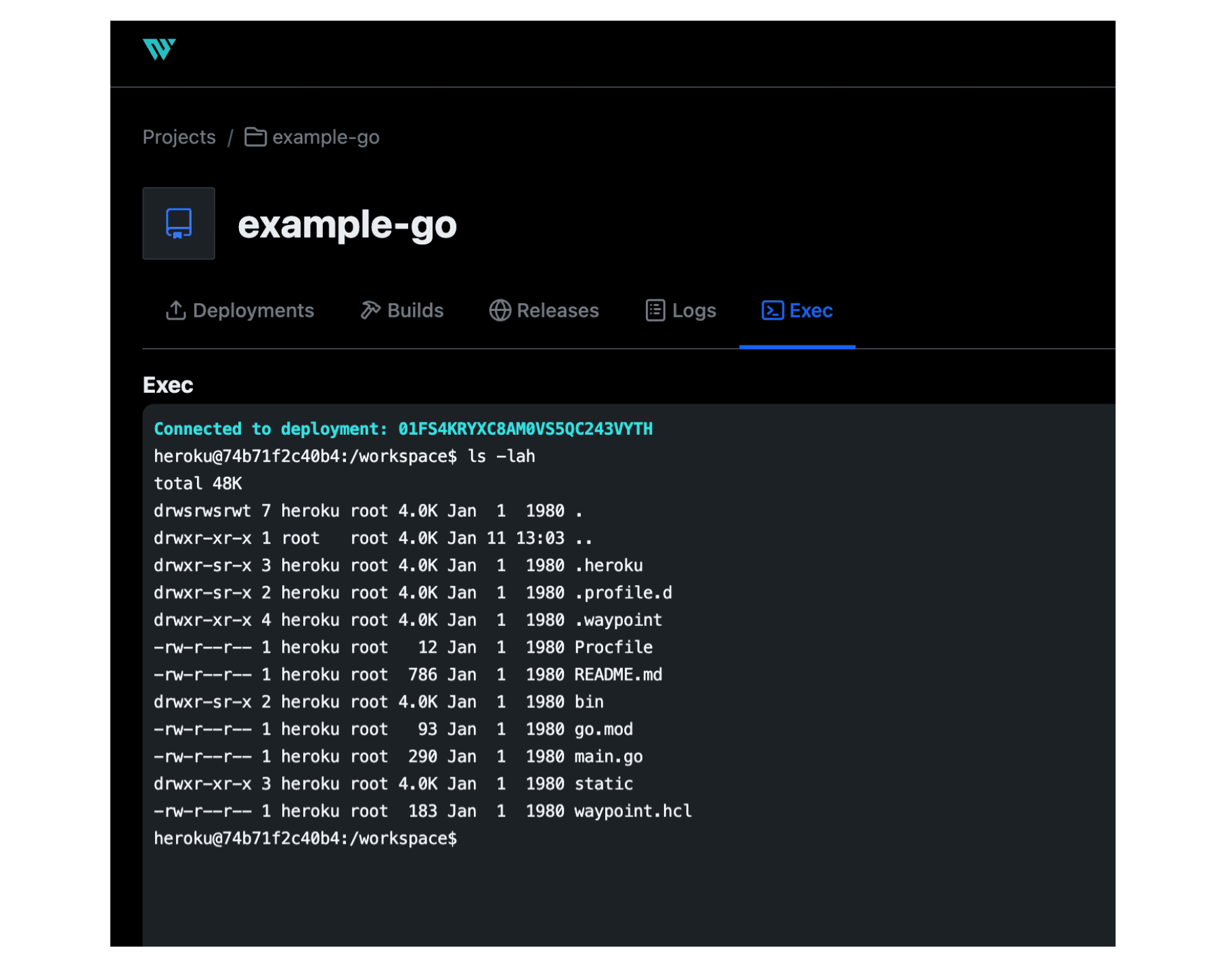 Running waypoint exec in the UI