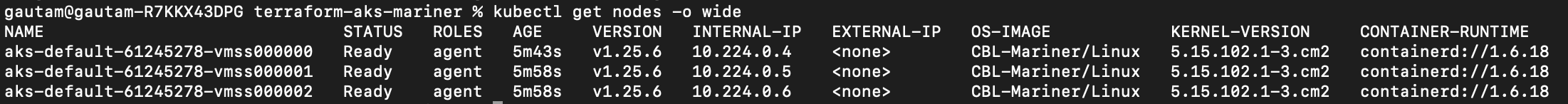 AKS Mariner nodes