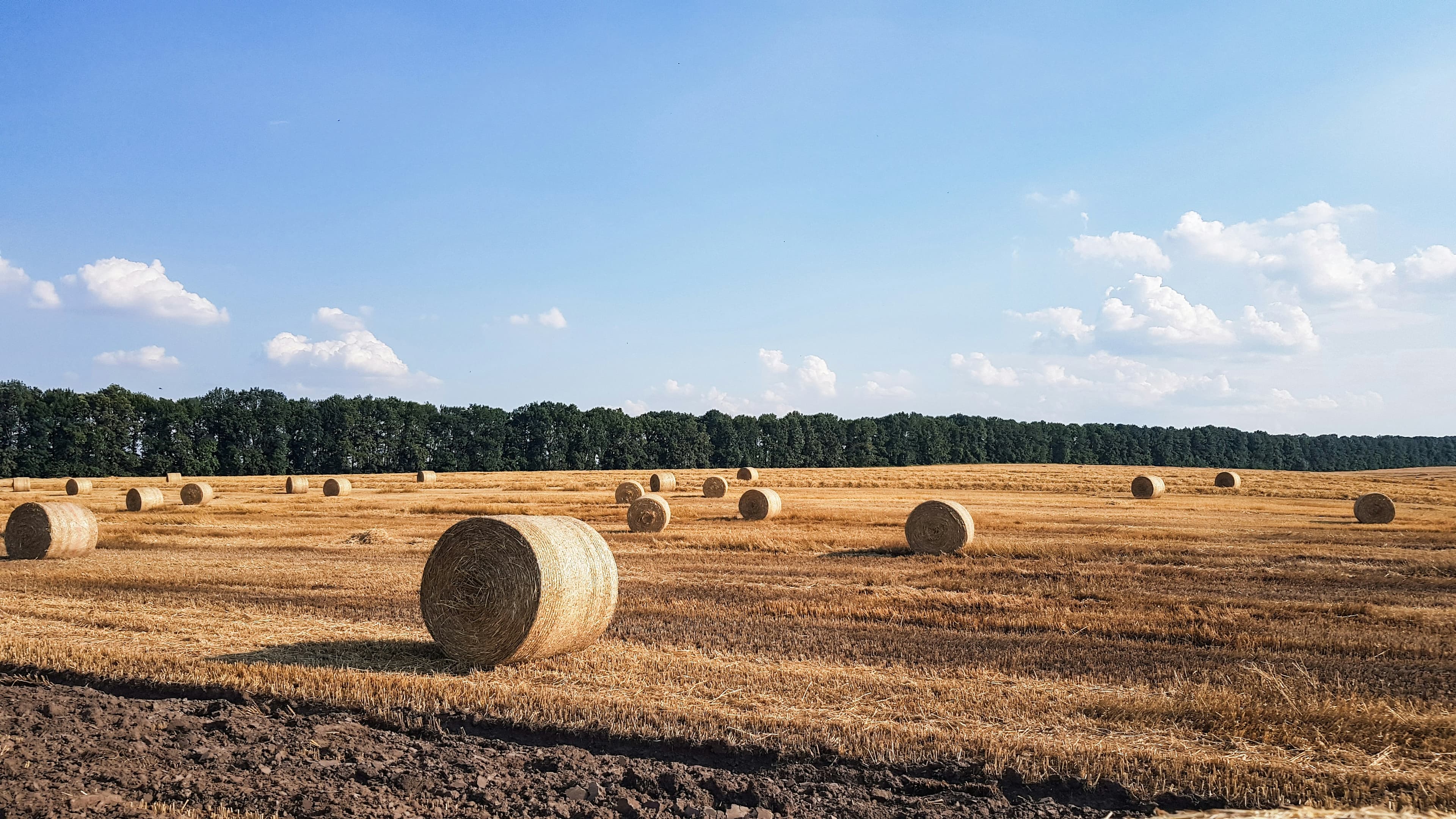 Harvest now, decrypt later: Why today’s encrypted data isn’t safe forever