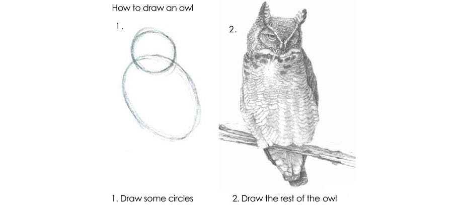 How to draw an owl: Step one, draw some circles. Step two, draw the rest of the owl.