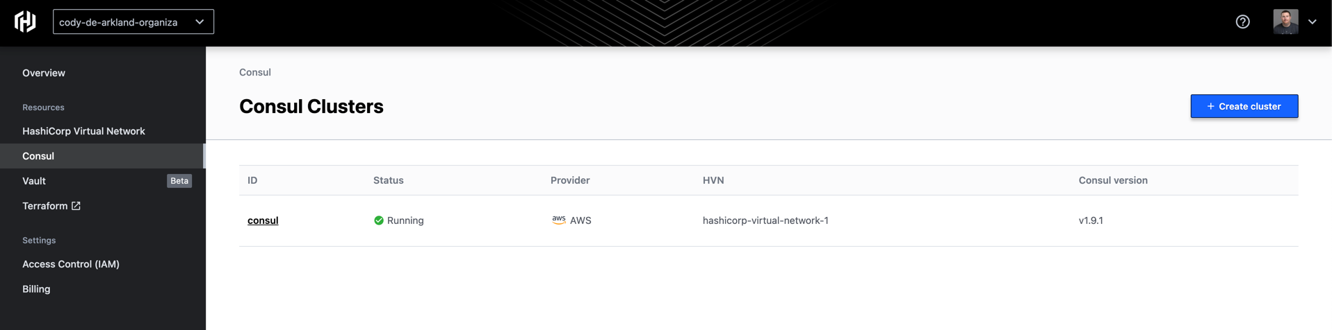 Deployed HCP Consul cluster
