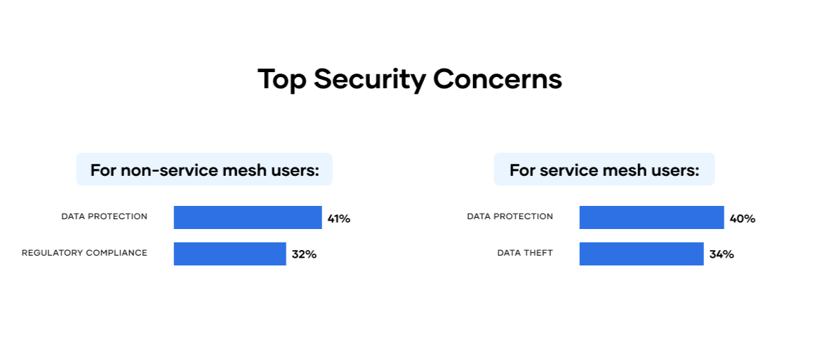 Security concerns for service mesh users and non users