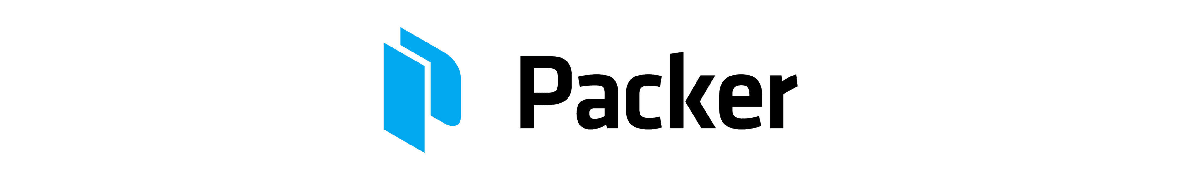 Packer logo