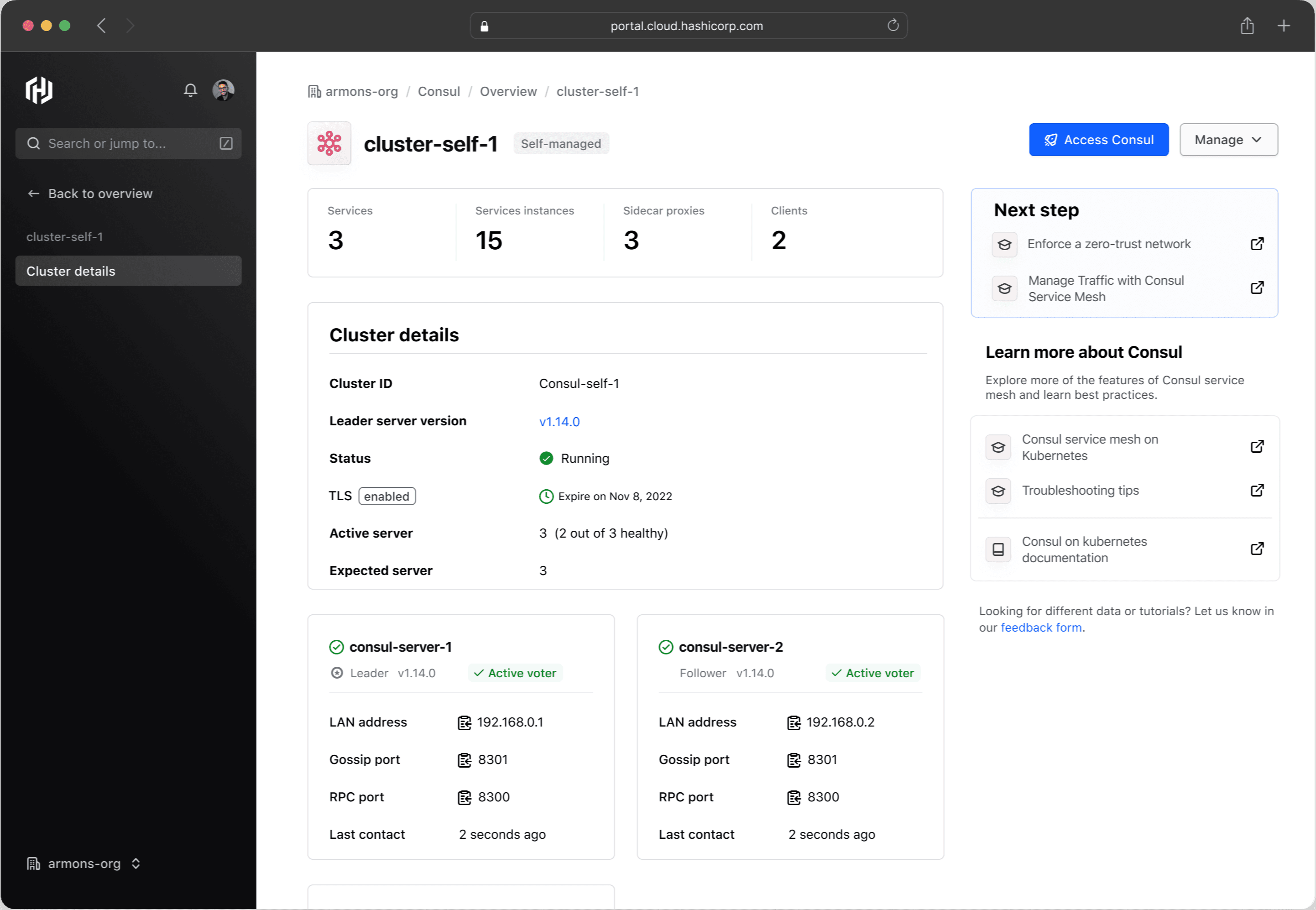 HCP Consul cluster details