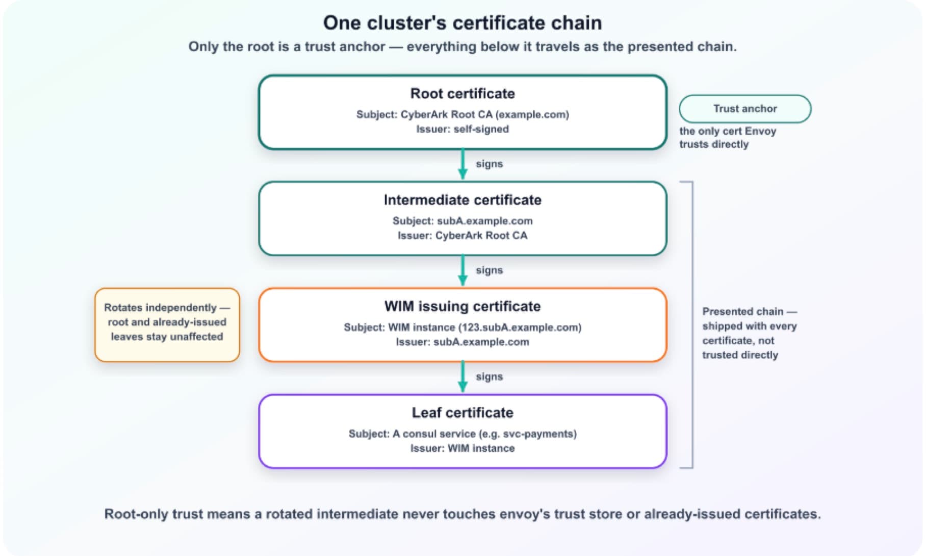 cert chain
