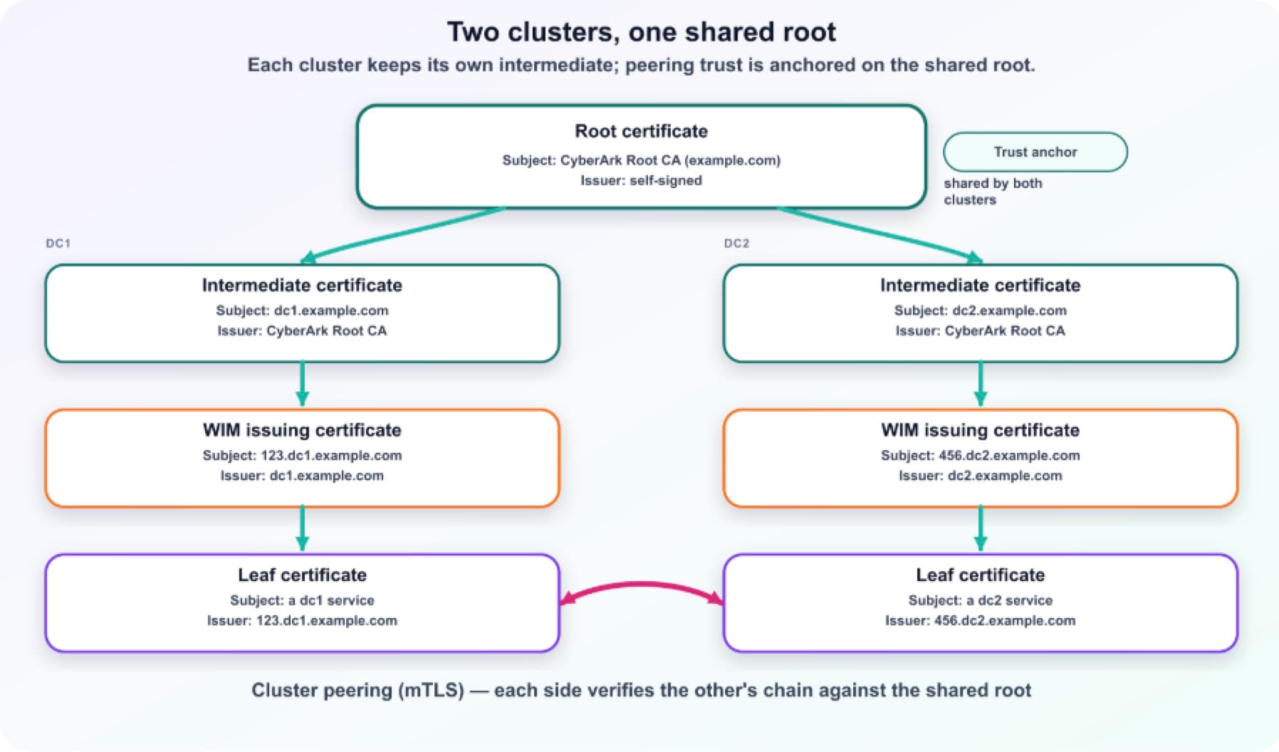 two clusters, one shared root
