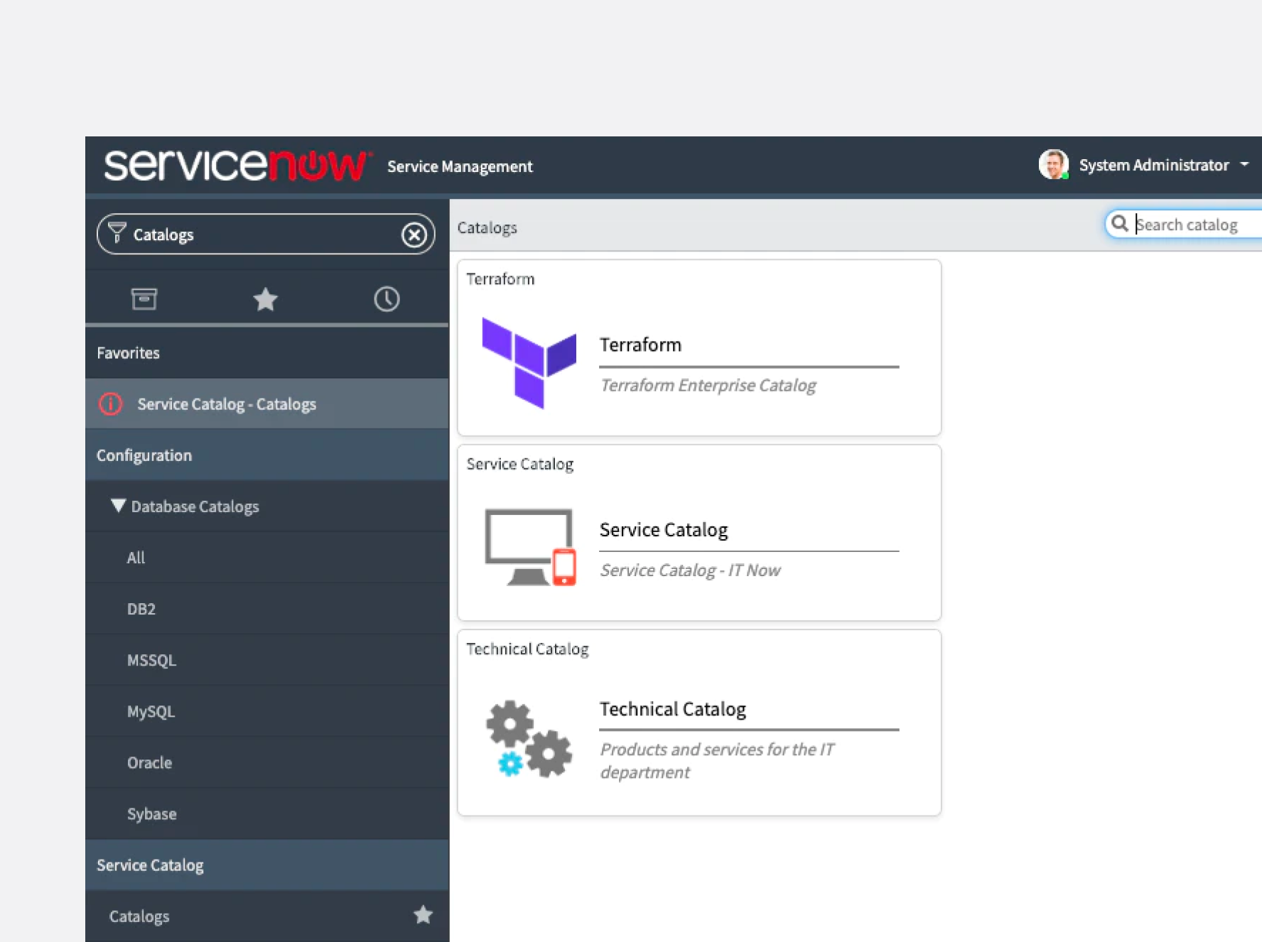 ServiceNow Service Catalog